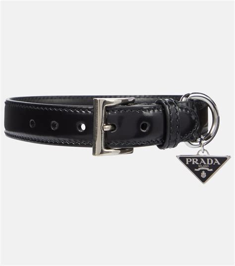 prada camp collar|elegant dog collar.